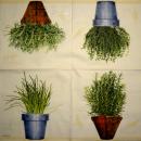 172 Blumen Sonstige - 3-lagig - Ihr